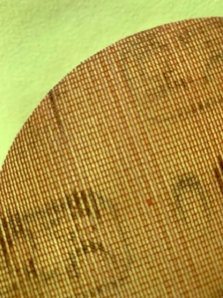 画像3: 賢者のケンマフ・ グリッドポリッシュ#180 (3)